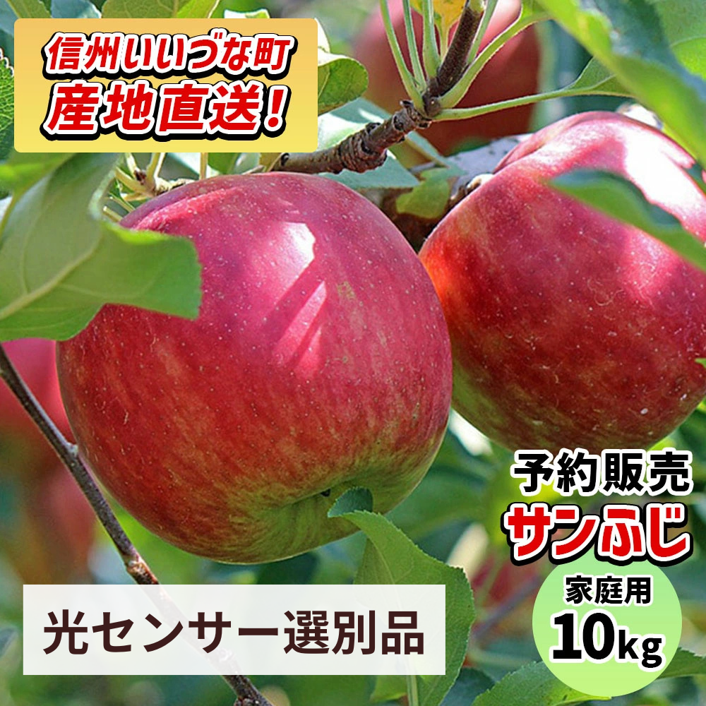 【りんご】感謝りんご サンふじ 10kg  訳あり わけあり くだもの フルーツ 交換保証 不揃い 規格外 傷 光センサー 林檎  5キロ 産地直送 2026年12月以降順次発送予定 送料無料 令和8年収穫分先行予約 長野県 飯綱町
