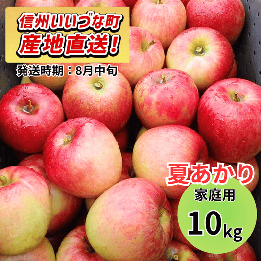 【りんご】 夏あかり 10kg 予約販売 2026年8月中旬以降順次発送予定 送料込 訳あり 自宅用 家庭用 長野県 飯綱町産  信州 フルーツ 果物 りんご みつどんマルシェ