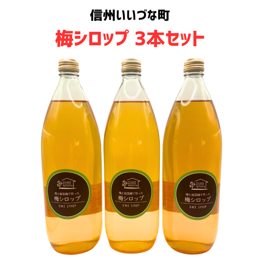 【梅シロップ 3本セット】 1L 3本 長野県 飯綱町 みつどんマルシェ 信州 ストレート 国産 ギフト うめ ジュース  梅サワー シロップ セット まとめ買い