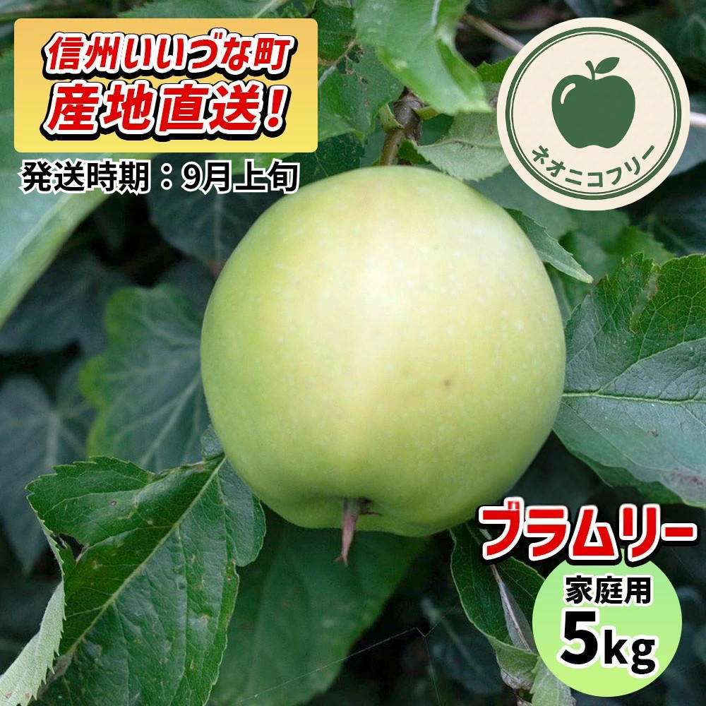 【りんご】 ブラムリー 5kg 〔ネオニコチノイド不使用 有機リン不使用 除草剤不使用〕 予約販売 2026年 9月上旬以降順次発送予定 送料込 長野県 飯綱町産 みつどんマルシェ 訳あり 自宅用 家庭用 ネオニコフリー