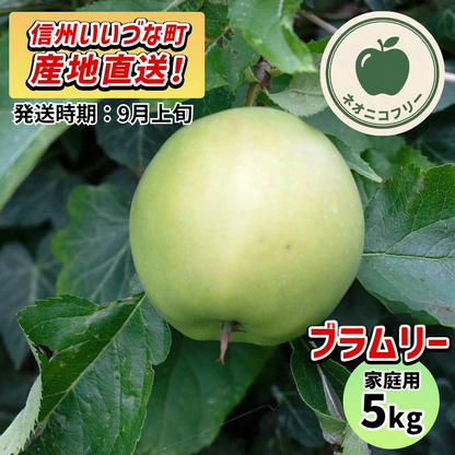 【りんご】 ブラムリー 5kg 〔ネオニコチノイド不使用 有機リン不使用 除草剤不使用〕 予約販売 2026年 9月上旬以降順次発送予定 送料込 長野県 飯綱町産 みつどんマルシェ 訳あり 自宅用 家庭用 ネオニコフリー