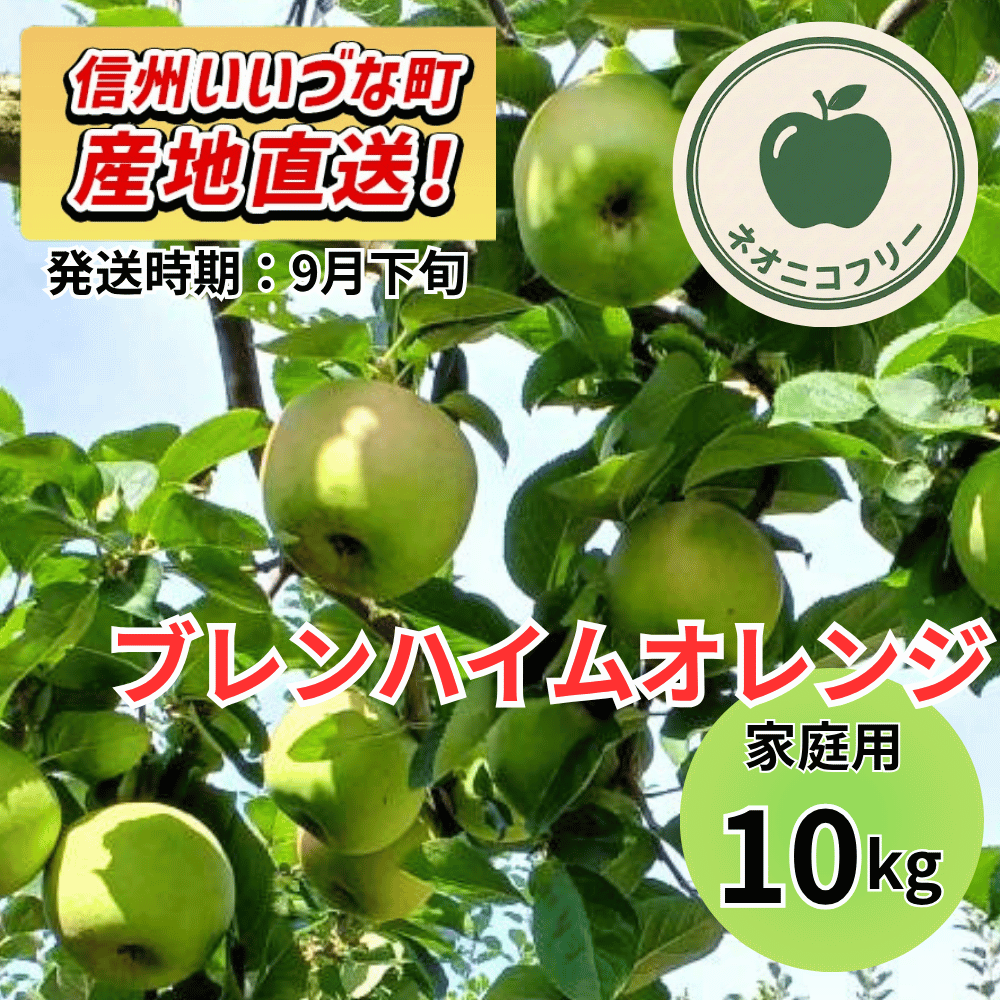 【りんご】 ブレンハイムオレンジ 10kg 〔ネオニコチノイド不使用 有機リン不使用 除草剤不使用〕 予約販売 2026年9月下旬以降順次発送予定 送料込 長野県 飯綱町産 みつどんマルシェ 訳あり 自宅用 家庭用 ネオニコフリー