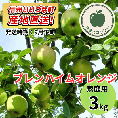 【りんご】 ブレンハイムオレンジ 3kg 〔ネオニコチノイド不使用 有機リン不使用 除草剤不使用〕 予約販売 2026年9月下旬以降順次発送予定 送料込 長野県 飯綱町産 みつどんマルシェ 訳あり 自宅用 家庭用 ネオニコフリー