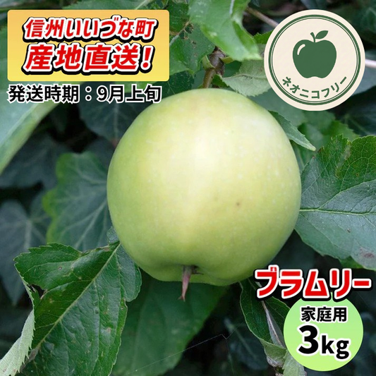 【りんご】 ブラムリー 3kg 〔ネオニコチノイド不使用 有機リン不使用 除草剤不使用〕 予約販売 2026年 9月上旬以降順次発送予定 送料込 長野県 飯綱町産 みつどんマルシェ 訳あり 自宅用 家庭用 ネオニコフリー