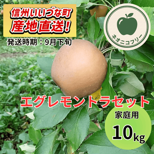 【りんご】 エグレモントラセット 10kg 〔ネオニコチノイド不使用 有機リン不使用 除草剤不使用〕 予約販売 2026年9月下旬以降順次発送予定 送料込 長野県 飯綱町産 みつどんマルシェ 訳あり 自宅用 家庭用 ネオニコフリー