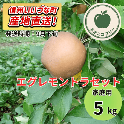 【りんご】 エグレモントラセット 5kg 〔ネオニコチノイド不使用 有機リン不使用 除草剤不使用〕 予約販売 2026年9月下旬以降順次発送予定 送料込 長野県 飯綱町産 みつどんマルシェ 訳あり 自宅用 家庭用 ネオニコフリー