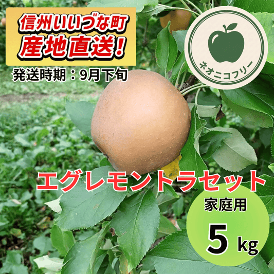 【りんご】 エグレモントラセット 5kg 〔ネオニコチノイド不使用 有機リン不使用 除草剤不使用〕 予約販売 2026年9月下旬以降順次発送予定 送料込 長野県 飯綱町産 みつどんマルシェ 訳あり 自宅用 家庭用 ネオニコフリー