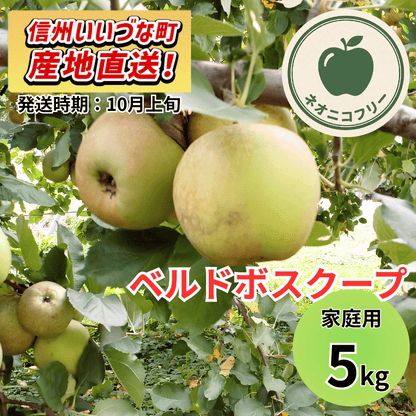 【りんご】 ベルドボスクープ 5kg 〔ネオニコチノイド不使用 有機リン不使用 除草剤不使用〕 予約販売 2026年10月上旬以降順次発送予定  送料込 長野県 飯綱町産 みつどんマルシェ 訳あり 自宅用 家庭用 ネオニコフリー