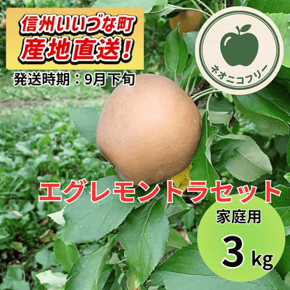 【りんご】 エグレモントラセット 3kg 〔ネオニコチノイド不使用 有機リン不使用 除草剤不使用〕 予約販売 2026年9月下旬以降順次発送予定 送料込 長野県 飯綱町産 みつどんマルシェ 訳あり 自宅用 家庭用 ネオニコフリー