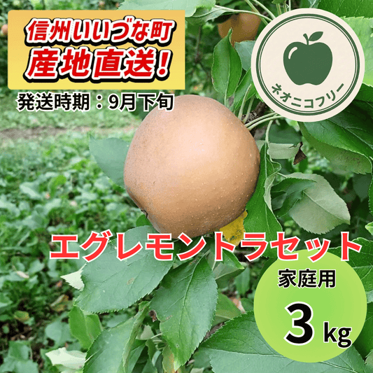 【りんご】 エグレモントラセット 3kg 〔ネオニコチノイド不使用 有機リン不使用 除草剤不使用〕 予約販売 2026年9月下旬以降順次発送予定 送料込 長野県 飯綱町産 みつどんマルシェ 訳あり 自宅用 家庭用 ネオニコフリー