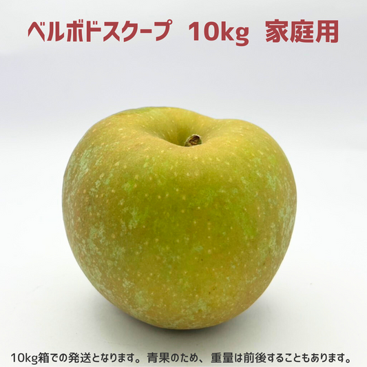 【りんご】 ベルボドスクープ 10kg 家庭用 10月上旬以降順次発送 長野県 飯綱町 みつどんマルシェ