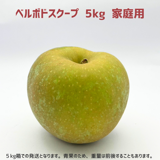 【りんご】 ベルボドスクープ 5kg 家庭用 10月上旬以降順次発送 長野県 飯綱町 みつどんマルシェ