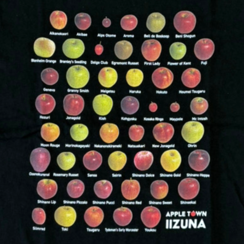 【洋服】 ご当地Tシャツ Lサイズ Tシャツ 半袖 黒 りんご トップス 長野県 飯綱町 みつどんマルシェ