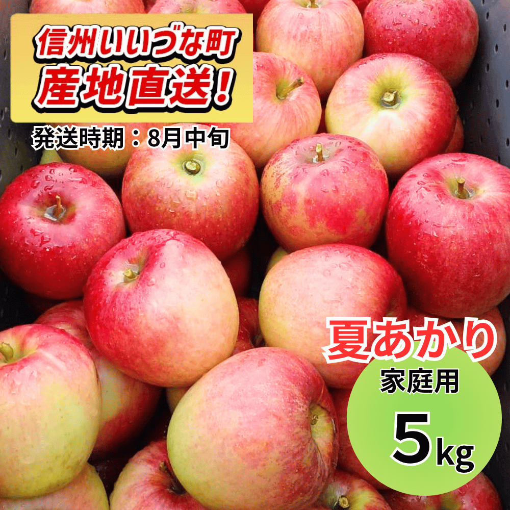 【りんご】 夏あかり 5kg 予約販売 2026年8月中旬以降順次発送予定 送料込 訳あり 自宅用 家庭用 長野県 飯綱町産  信州 フルーツ 果物 りんご みつどんマルシェ