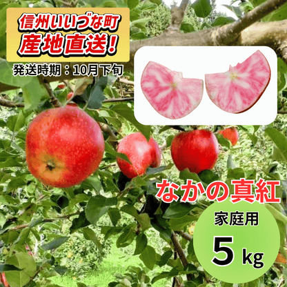 【りんご】 なかの真紅（なかのしんく） 5kg 予約販売 2026年10月下旬以降順次発送予定 送料込 長野県 飯綱町産 みつどんマルシェ 訳あり 自宅用 家庭用