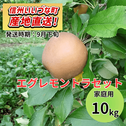 【りんご】 エグレモントラセット 10kg 予約販売 2026年9月下旬以降順次発送予定 送料込 長野県 飯綱町産 みつどんマルシェ 訳あり 自宅用 家庭用