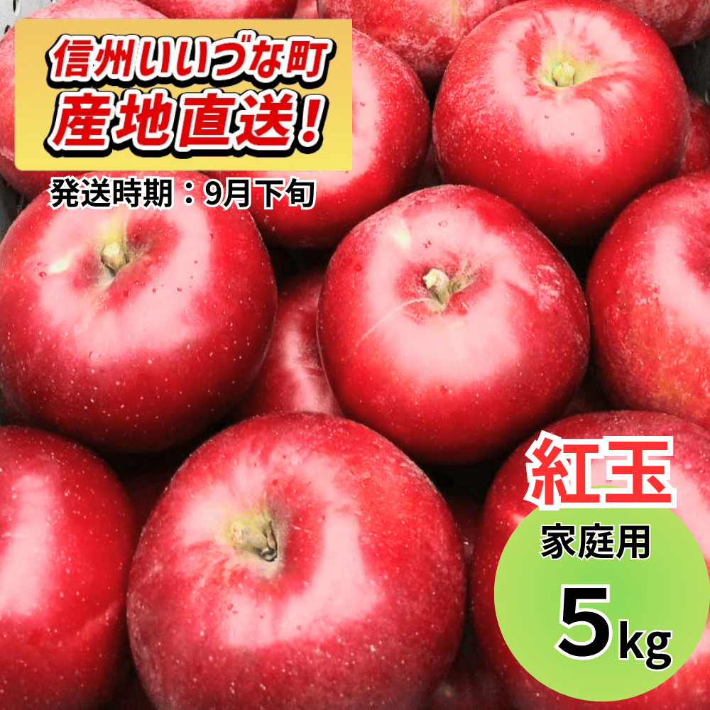 【りんご】 紅玉（こうぎょく） 5kg 予約販売 2026年9月下旬以降順次発送予定 送料込 長野県 飯綱町産 みつどんマルシェ 訳あり 自宅用 家庭用