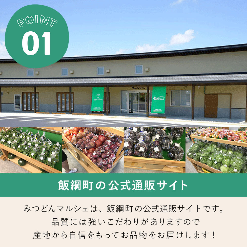 【お任せ野菜とお任せりんご加工品セット】 野菜 & りんご加工品 セット クール便 長野県 飯綱町 みつどんマルシェ