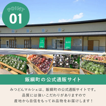【菓子】割れ柿の種 長野県 飯綱町 みつどんマルシェ