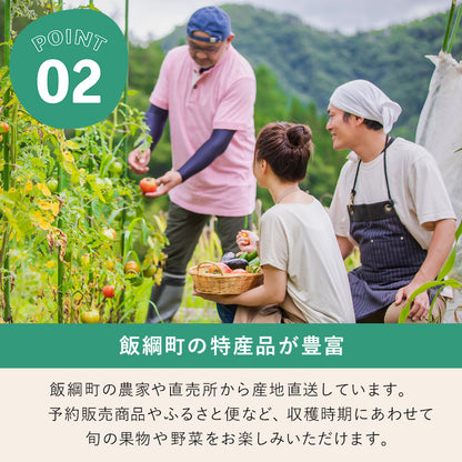 【りんご】 シナノスイート 5kg（ 14～18玉 ） 贈答用 送料込 10月下旬以降順次発送 長野県 飯綱町 みつどんマルシェ