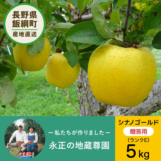 【りんご】 12月上旬以降発送 永正の地蔵尊園 シナノゴールド 5kg ランクE 14玉以上 送料込 長野県 飯綱町 贈答用 みつどんマルシェ n24-2023gold-z5-14