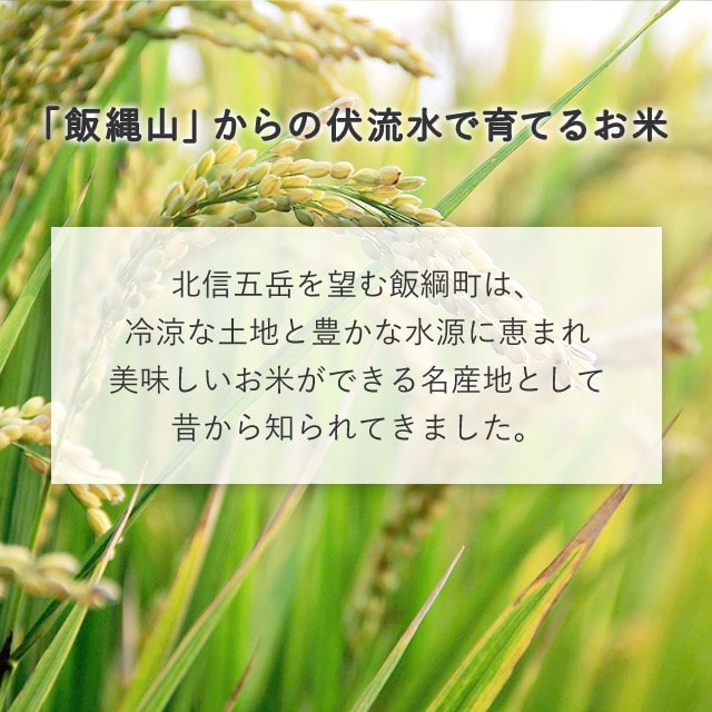 【オンラインバザー】 こしひかり（白米）5kg 送料無料