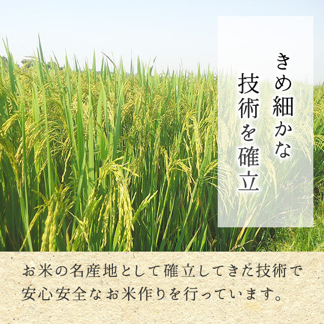 【オンラインバザー】 こしひかり（白米）5kg 送料無料