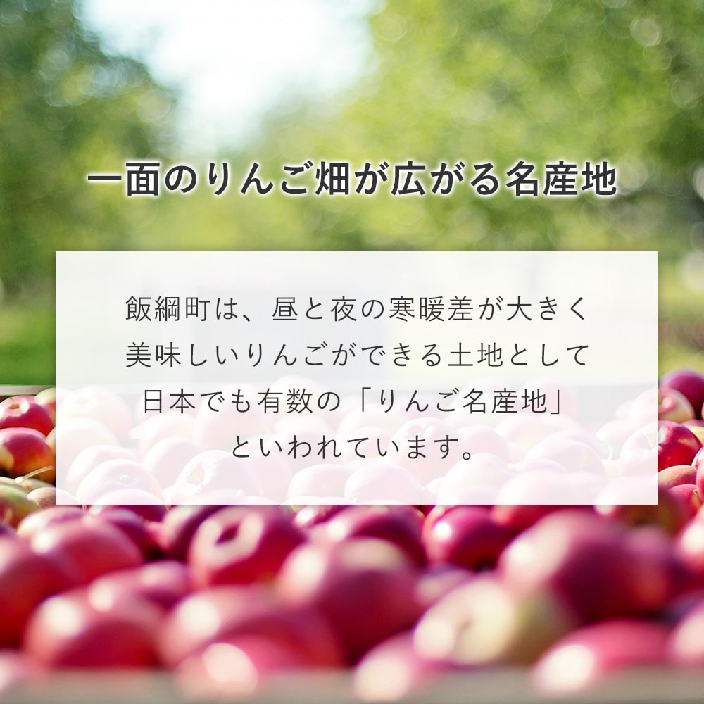 【りんごジャム】 りんご ジャム シナノリップ 190g りんごジャム 長野県 飯綱町 みつどんマルシェ