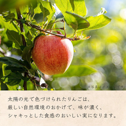 【りんごジャム】 りんご ジャム ブラムリー 260g りんごジャム 長野県 飯綱町 みつどんマルシェ