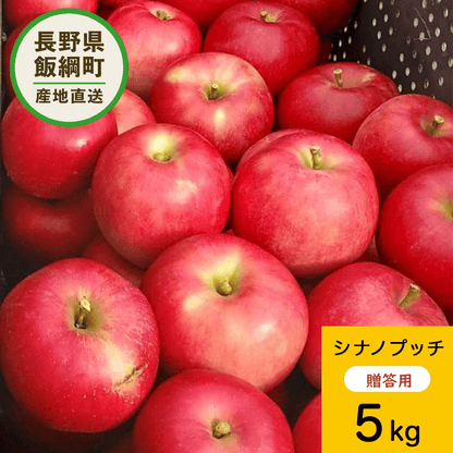 【りんご】  シナノプッチ 5kg 贈答用 予約販売 9月下旬以降順次発送 送料込 長野県 飯綱町 みつどんマルシェ
