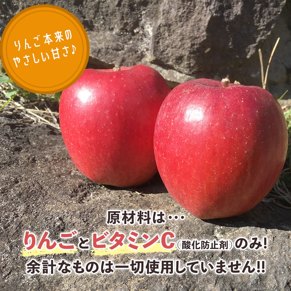 【りんごジュース】 りんごジュース 100％ 1L 1本 ストレート りんご ジュース 長野県 飯綱町 みつどんマルシェ