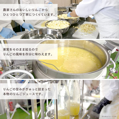 【りんごジュース】 1L りんごジュース 1本 ストレート つがる 長野県 飯綱町 みつどんマルシェ