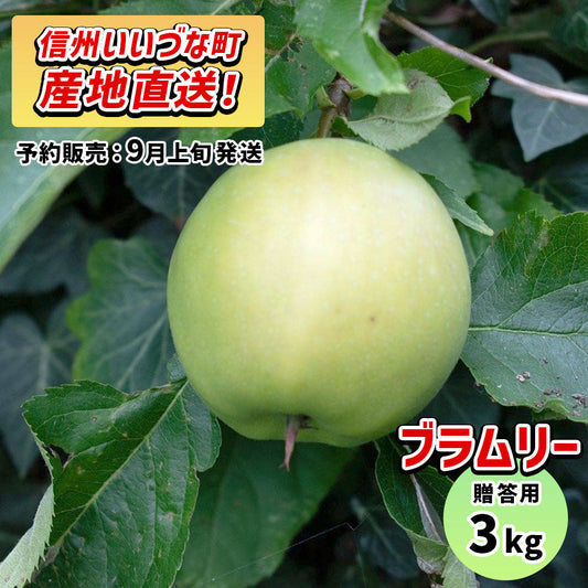 ブラムリー3kg予約販売9月上旬発送送料込長野県飯綱町贈答用いいづなファーム