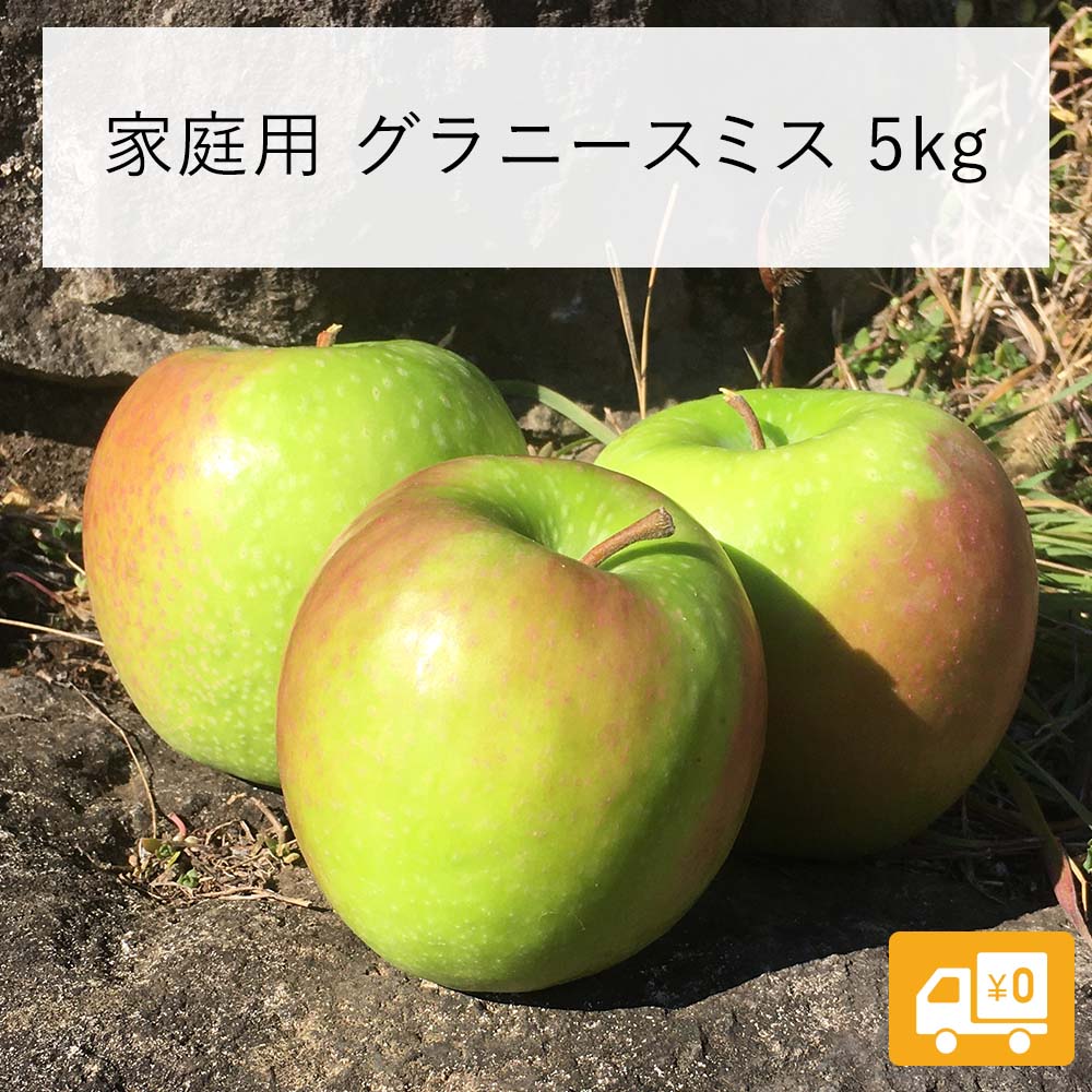 残りわずか！ りんご グラニースミス 5kg 家庭用 送料込  長野県 飯綱町 みつどんマルシェ