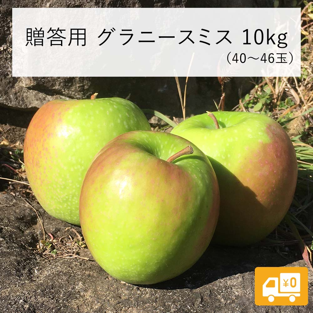【りんご】 グラニースミス 10kg (40~46玉) 贈答用 長野県 飯綱町 みつどんマルシェ