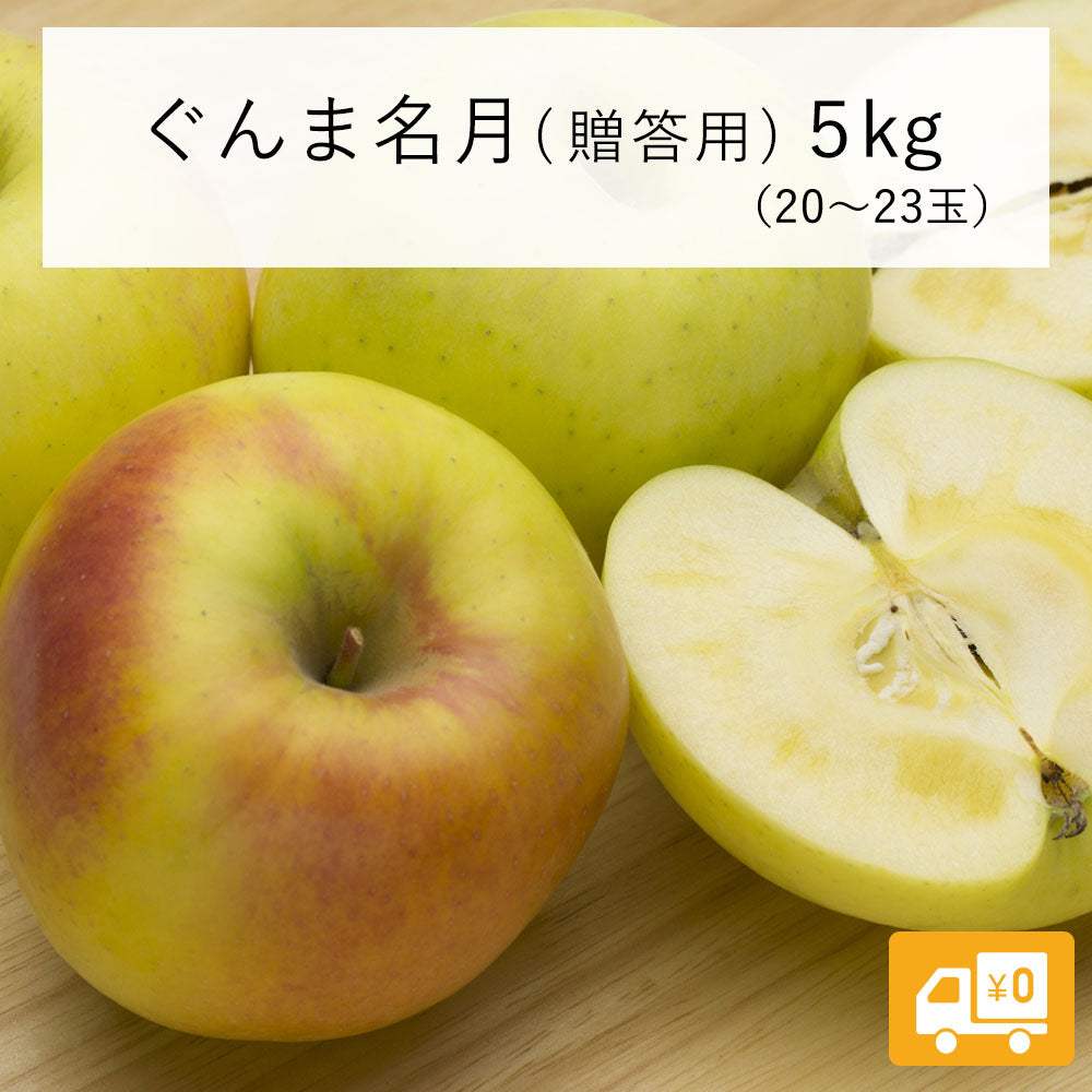 【りんご】 ぐんま名月 5kg (20~23玉) 贈答用 11月上旬以降順次発送 長野県 飯綱町 みつどんマルシェ