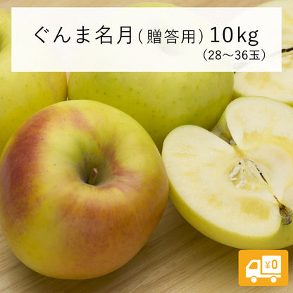 【りんご】 ぐんま名月 10kg (28~36玉) 贈答用 11月上旬以降順次発送 長野県 飯綱町 みつどんマルシェ