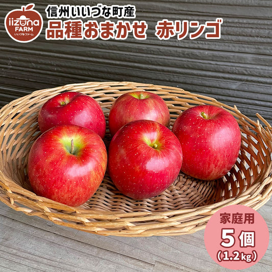 【りんご】 品種おまかせ 赤りんご ５個 家庭用 長野県 飯綱町 訳あり みつどんマルシェ