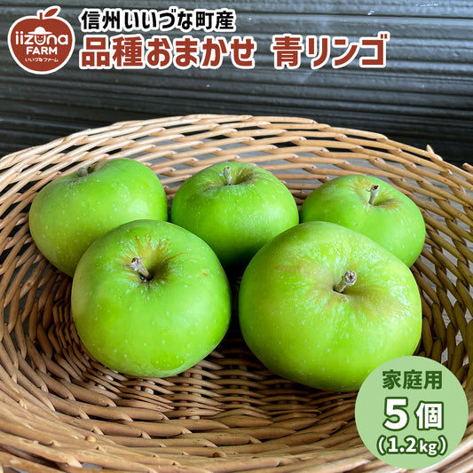 【りんご】 品種おまかせ 青りんご ５個 家庭用 長野県 飯綱町 訳あり みつどんマルシェ