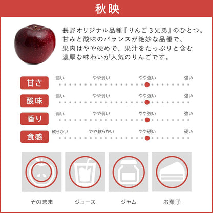 【りんご】 秋映 3kg 予約販売 10月中旬以降順次発送 送料込 長野県 飯綱町 家庭用 訳あり みつどんマルシェ