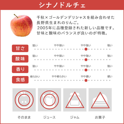 【りんご】 シナノドルチェ 5kg 予約販売 9月中旬以降順次発送 送料込 長野県 飯綱町 家庭用 訳あり  みつどんマルシェ