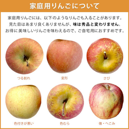 【りんご】 品種おまかせ 青りんご ４個 家庭用 長野県 飯綱町 訳あり みつどんマルシェ