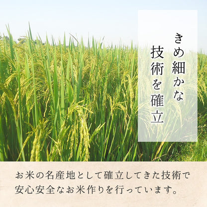 【米セット】 食べくらべセット 精米 2kg×3袋 あきたこまち こしひかり ミルキークイーン 長野県 飯綱町 送料込 みつどんマルシェ