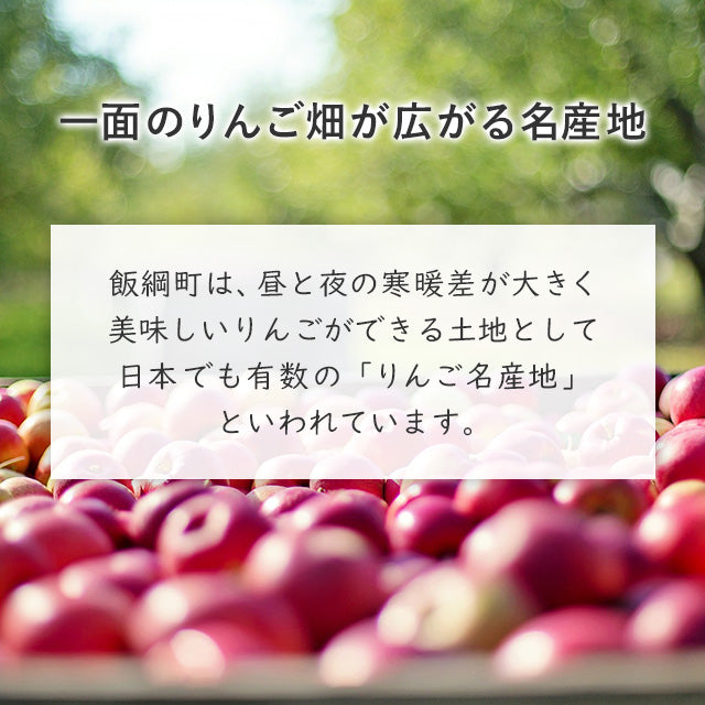 【りんご】 飯綱町産 サンふじ 5kg （玉数指定なし） 家庭用 送料込 長野県 飯綱町 みつどんマルシェ