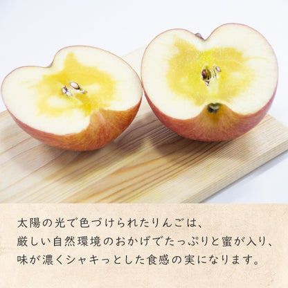 【りんごバター】 オリジナル りんごバター 260g お得2本セット 長野県 飯綱町 みつどんマルシェ