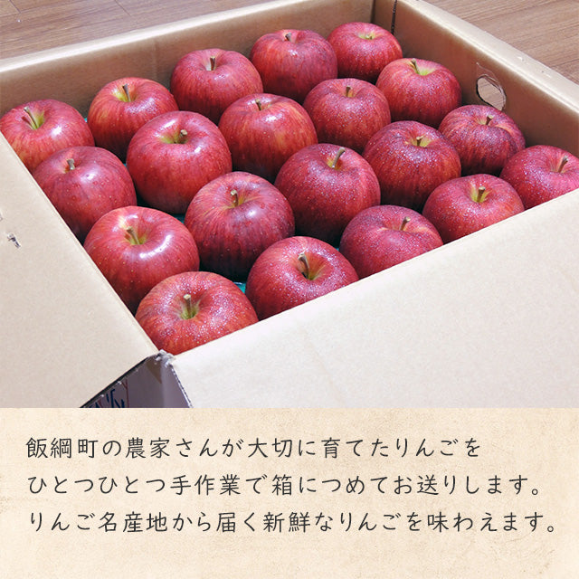 【りんご】 サンふじ 10kg（ 40～46玉 ） 贈答用 送料込 長野県 飯綱町 みつどんマルシェ
