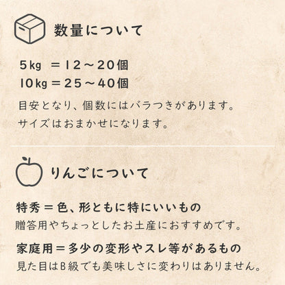【りんご】 シナノリップ 10kg 8月下旬以降順次発送 送料込 長野県 飯綱町 贈答用 みつどんマルシェ
