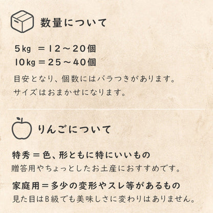【りんご】 シナノドルチェ 5kg 予約販売 9月中旬以降順次発送 送料込 長野県 飯綱町 家庭用 訳あり  みつどんマルシェ
