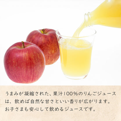 【りんご加工品セット】 りんごコンポート リンゴ酢ジュース りんごセミドライ×2個 季節のりんごジュース230ml×2種類 長野県飯綱町 みつどんマルシェ