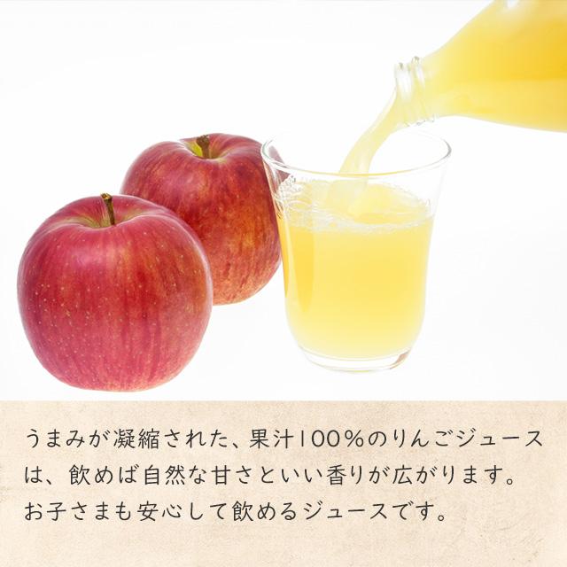 【りんごセット】 ふじりんご (家庭用) & りんごジュース 1L瓶 送料込 長野県 飯綱町 みつどんマルシェ